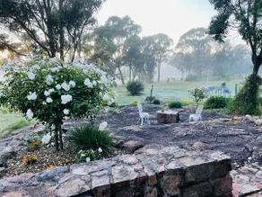 BlueSky Retreat | Peaceful cosy house | Stanthorpe - Image 2