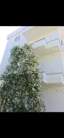 Vila LALA - Image 3