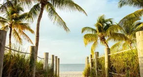 {La Belle Mer} ~ Steps to Beach & No Fees! - Image 2
