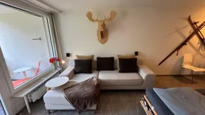Stylish Alpine Studio in Davos, Wifi & Netflix - Image 2