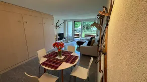 Stylish Alpine Studio in Davos, Wifi & Netflix - Image 5