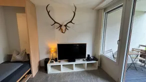 Stylish Alpine Studio in Davos, Wifi & Netflix - Image 4