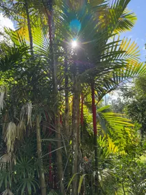 Tropical Getaway! Ya can’t beat this beauty! - Image 4