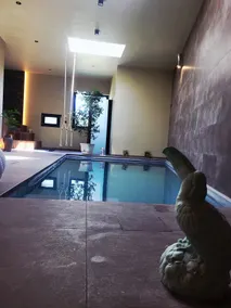 Private Lodge with Indoor Pool - Image 2