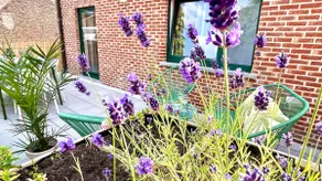 Apartment for 6 people - near Brussels & Airport - Image 3