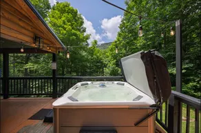 4 Bedroom Snowshoe Cabin: Hot Tub, Cold Plunge, Creek - Image 2