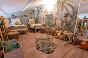 Triplex Jungle Family 10m from Avignon - Image 2