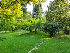 The Spring Garden - Image 5