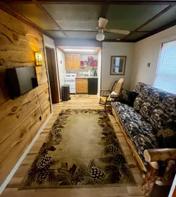 Pine Cabin on Glen Lake - Image 4
