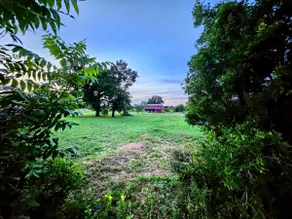 Lone Star Love Nest - Image 3