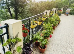 Serenity Escape - Pet Friendly Himalayan Stay - Image 4