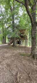 Treehouse - Image 3