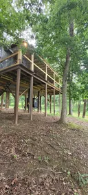 Treehouse - Image 4