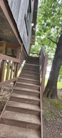 Treehouse - Image 5