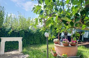 Villa Antonina - Image 3