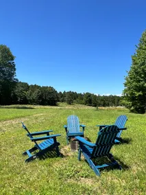 NEW Secluded cabin on 10 acres - Buffalo Pastures - Image 3