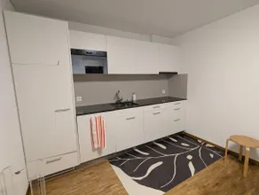 Studio on the lower level in a quiet location 1 guest - Image 3