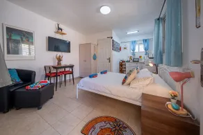 The lowest place in the world for a couple (up to 4) in a quiet and safe moshav - Image 4