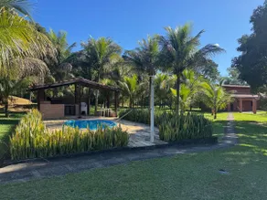 Coconut Farm - Boa Esperança - Image 3
