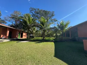 Coconut Farm - Boa Esperança - Image 4