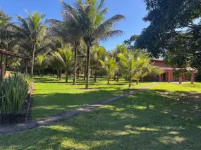 Coconut Farm - Boa Esperança - Image 5