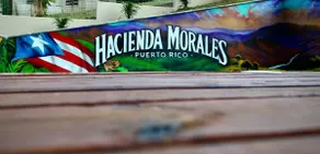 Rustic Retreat- El Yunque view, pool and game room - Image 3