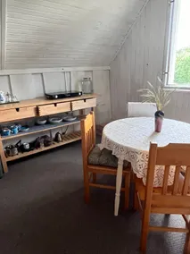 Wild Studio - Image 4