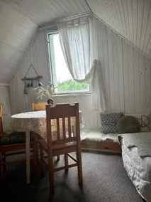 Wild Studio - Image 3