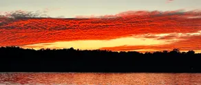 Peaceful Vineyard Lake Cottage | Lowes House - Image 5