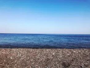 Radiki - Image 4