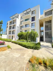Faya marassi - Image 2