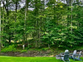 Secluded Romantic Vermont Cabin with Sauna - Image 3