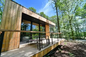 Forest Cube Recharge - Image 4