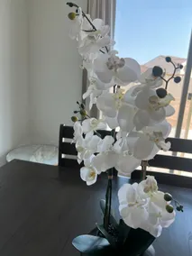 Home in Perris - Image 5