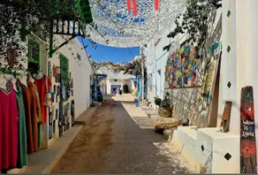 Dar Chedly: Panoramic View & Street Art - Image 2
