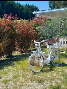 Casa Vacanze 9 Cavalieri - Image 4