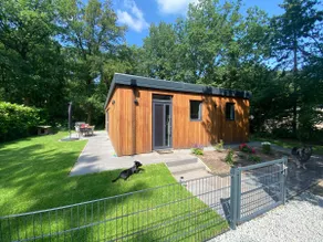Luxury bungalow Woldzicht - Image 2