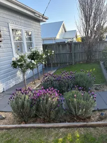 Seaside Village Cottage Charm - Image 3