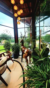 8 Whispering Pines 2BHK | Aravalli Views - Image 2