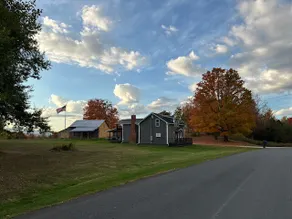 Birch and Maples - Image 5
