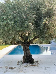 Villa Terra - Image 3