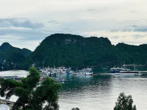 Tsunami home - Image 5