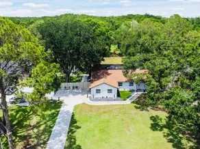 Luxury Airbnb on Wesley Chapel - Image 5