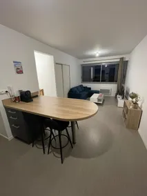 Apartment with private movie room - Image 3