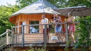 Treehouse - Image 2