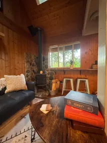 TinyCabin*Riverfront*HotTub*Sleep 3*Mountain Views - Image 4
