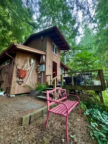 TinyCabin*Riverfront*HotTub*Sleep 3*Mountain Views - Image 2