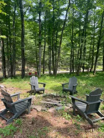 Modern Catskills Cabin on creek w/private 10 acres - Image 4