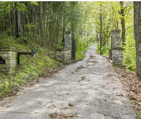 Gated 12 Acre Retreat | Guest House Near Franklin - Image 2