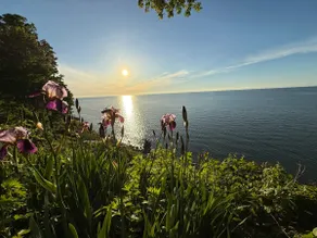Dog-Friendly Lake View Cabin #3 • Wine Country - Image 2
